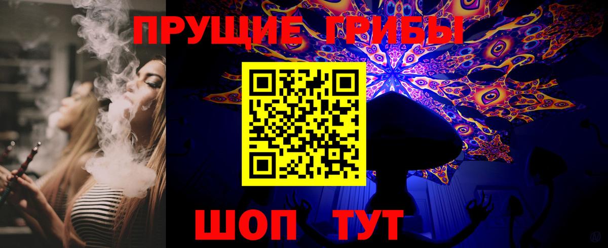 купить  сайты  Вход с VPN  Ивантеевка  Псилоцибиновые грибы Psilocybe 